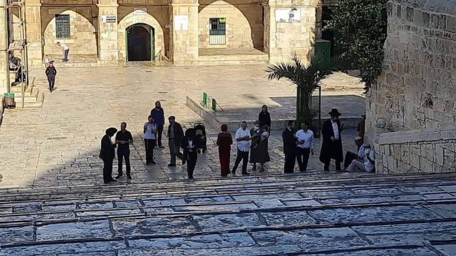 مستوطنون يقتحمون باحات الاقصى